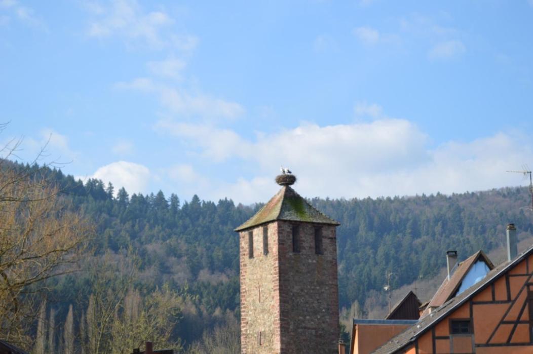케제르베르 Coeur D'Alsace 아파트 외부 사진